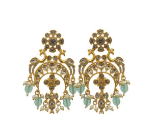 Stylish Earrings